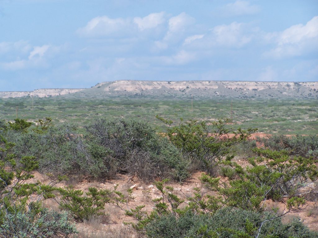 Boot Hill archaeological site.