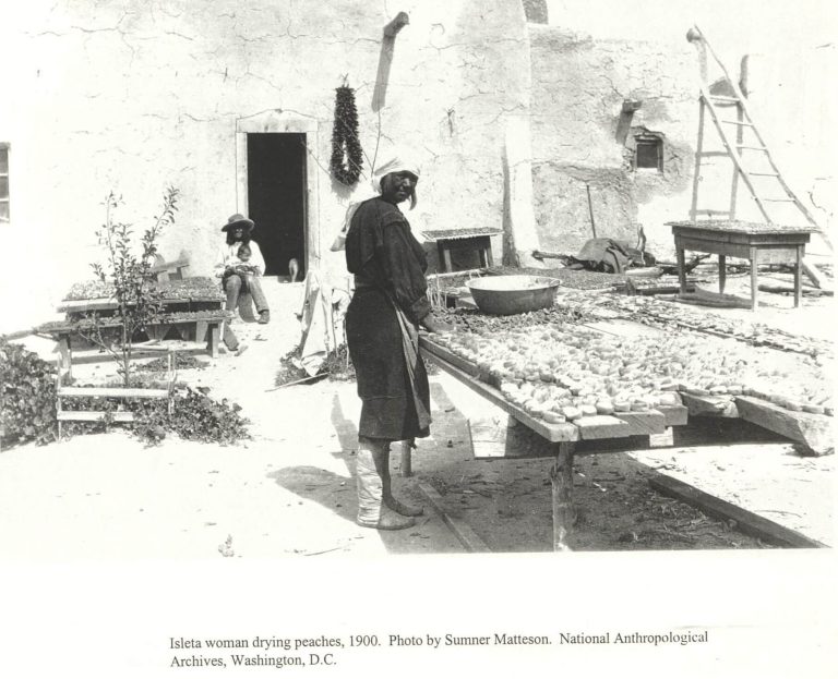 Isleta woman drying peaches. Photo by Sumner Matteson, 1900. National Anthropological Archives, Washington, DC.