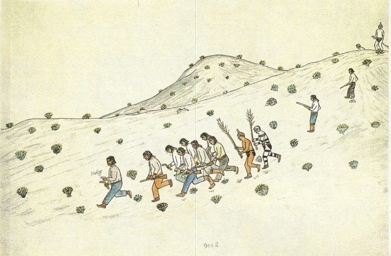 In his left hand, the man in the lead carries a stone wolf fetish belonging to the Hunt Chief. The kapyo clowns figure in this hunt, as they did in the Hunt Chief's night ceremony. Elsewhere also the clown groups are associated with rabbit drives, particularly those connected with kachina dances. These are also the "hunts with the girls." The clowns are carrying the willow branches associated with them, red willow by the Black Eyes, yellow willow by the Red Eyes. March 10, 1939.