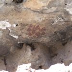 Roney's Shelter archaeological site.