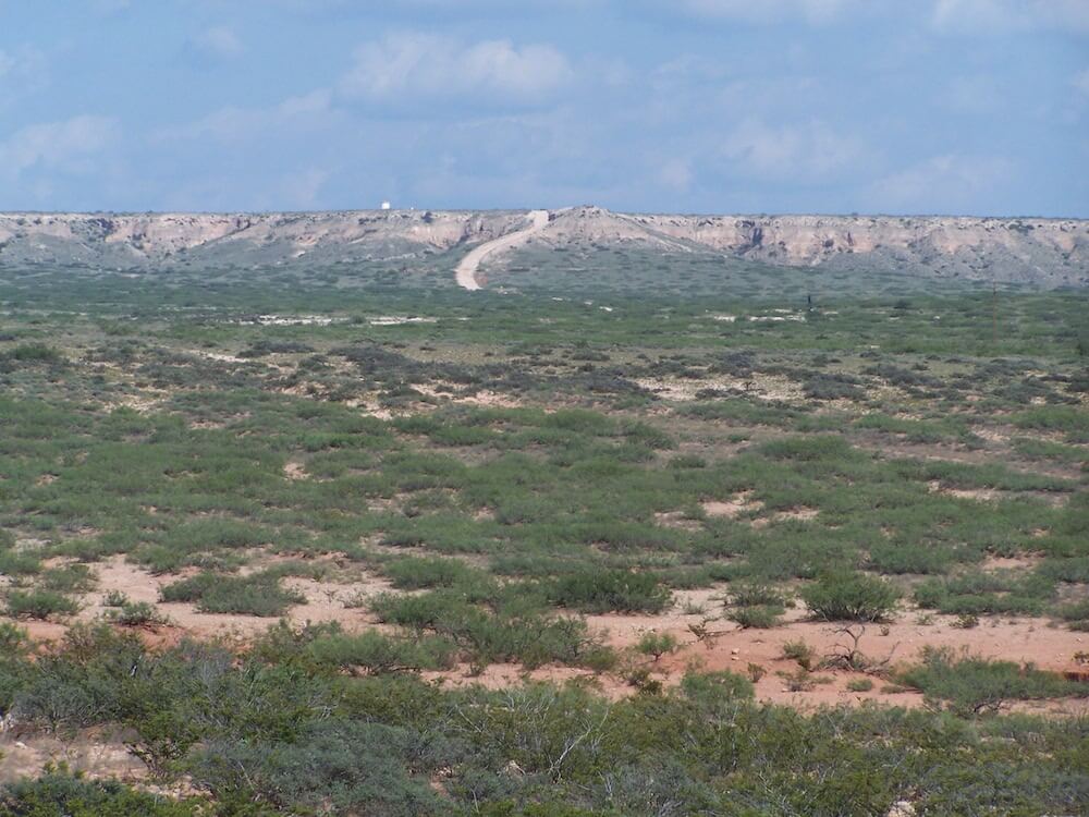 Site Landscape