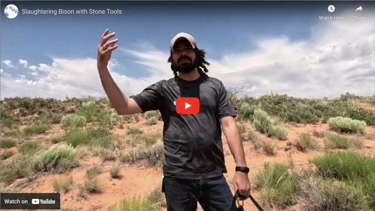 Video about hunting bison with stone tools.