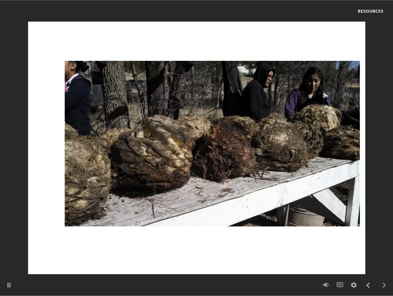 Mescal Roasting with the Mescalero Apache